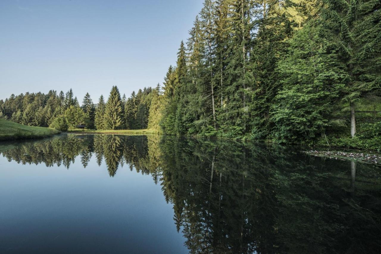 Ferienwohnung Waldglueck Reith bei Kitzbühel Exteriör bild